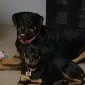 Meet your Posher, Paula